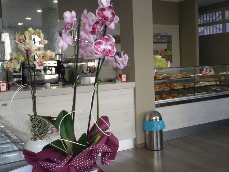 sala_caffetteria_gelateria_pasticceria_avveduto_caffè_avola